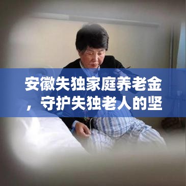 安徽失独家庭养老金,守护失独老人的坚实后盾