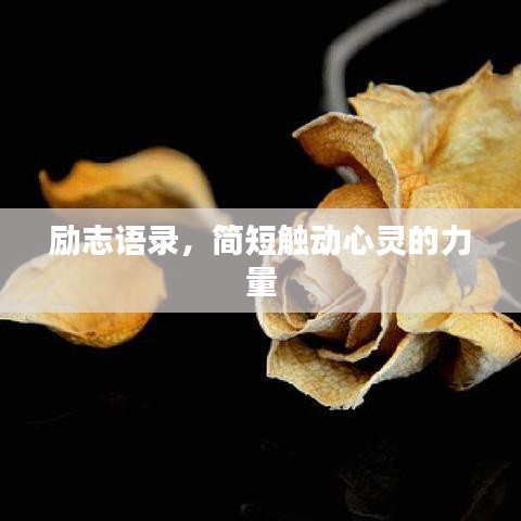 励志语录，简短触动心灵的力量