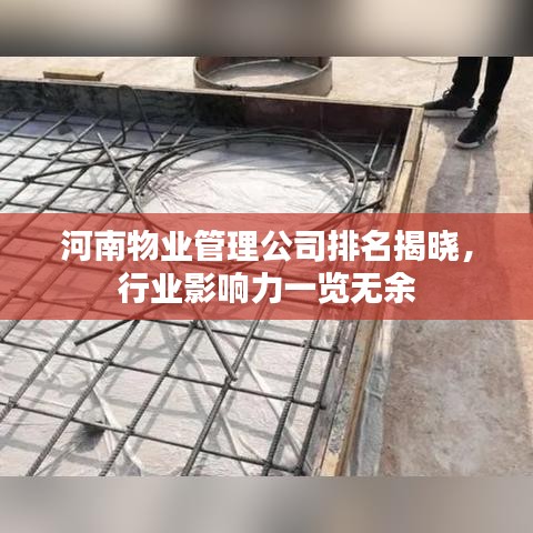 河南物业管理公司排名揭晓，行业影响力一览无余