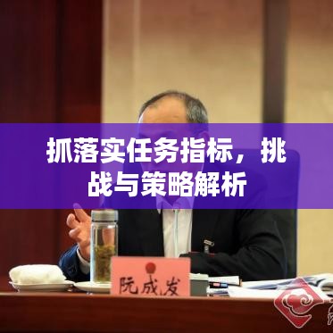 抓落实任务指标,挑战与策略解析