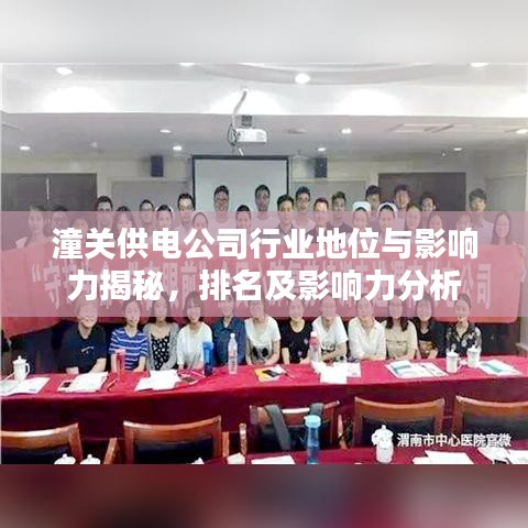 潼关供电公司行业地位与影响力揭秘，排名及影响力分析