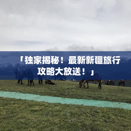 「独家揭秘！最新新疆旅行攻略大放送！」