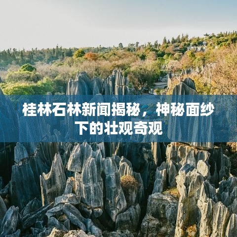 桂林石林新闻揭秘，神秘面纱下的壮观奇观