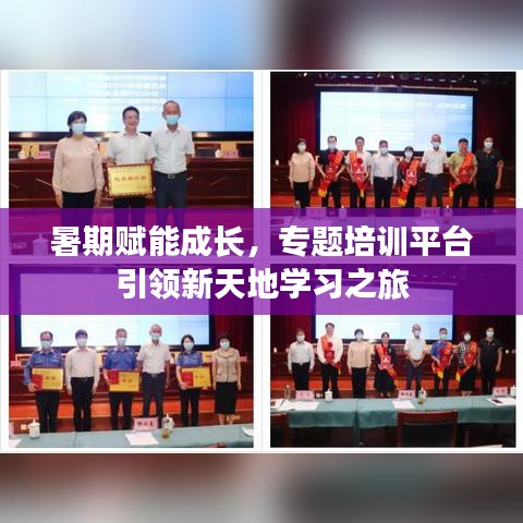 暑期赋能成长,专题培训平台引领新天地学习之旅