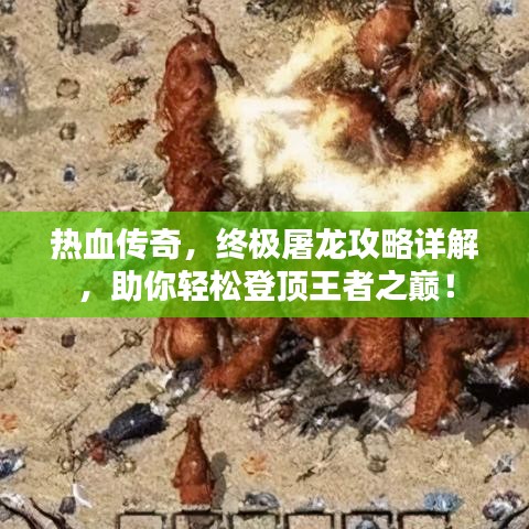 热血传奇，终极屠龙攻略详解，助你轻松登顶王者之巅！