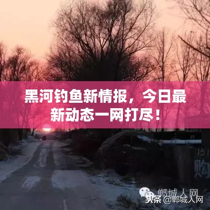 黑河钓鱼新情报,今日最新动态一网打尽!