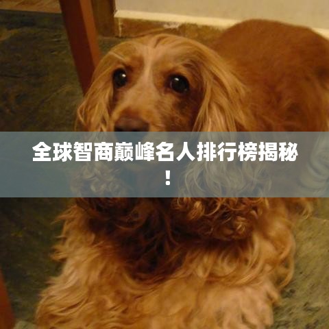 全球智商巅峰名人排行榜揭秘！