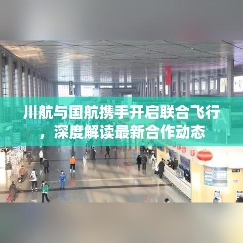 川航与国航携手开启联合飞行,深度解读最新合作动态