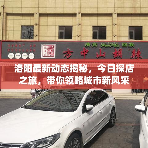 洛阳最新动态揭秘，今日探店之旅，带你领略城市新风采