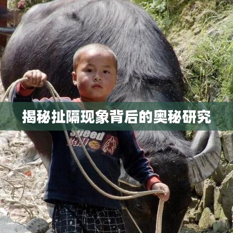 揭秘扯隔现象背后的奥秘研究