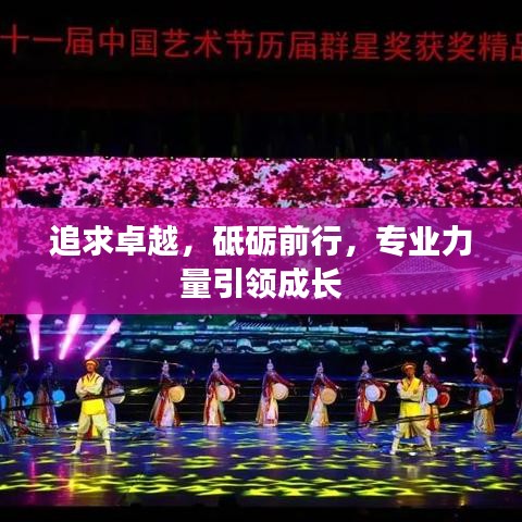 追求卓越，砥砺前行，专业力量引领成长