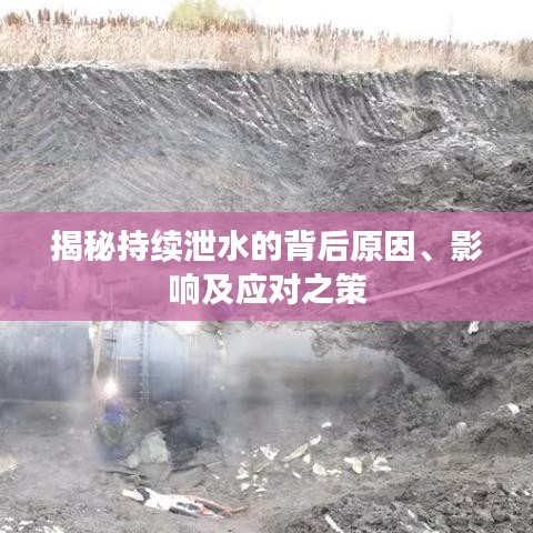 揭秘持续泄水的背后原因、影响及应对之策
