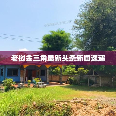 老挝金三角最新头条新闻速递