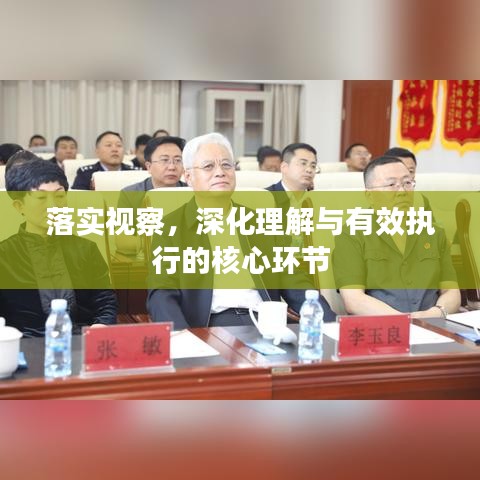 落实视察,深化理解与有效执行的核心环节