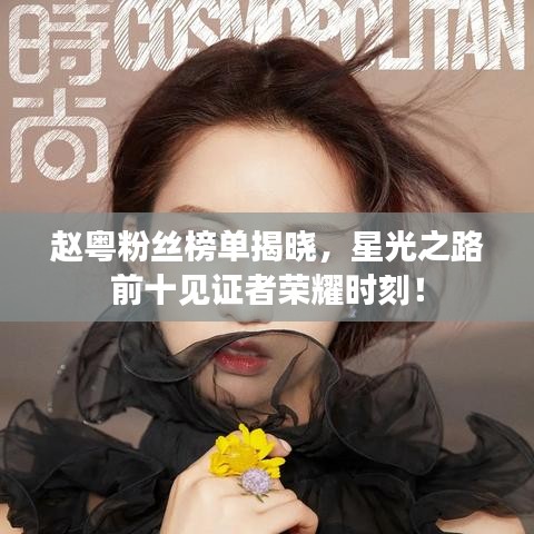 赵粤粉丝榜单揭晓,星光之路前十见证者荣耀时刻!