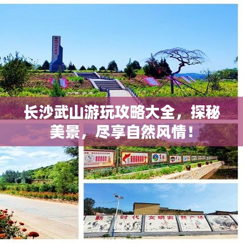 长沙武山游玩攻略大全,探秘美景,尽享自然风情!