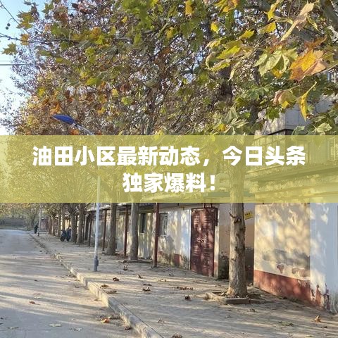 油田小区最新动态,今日头条独家爆料!