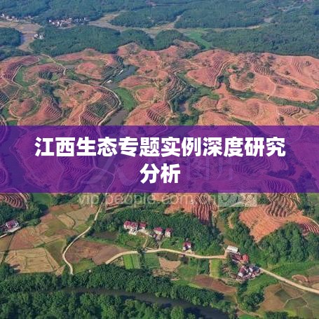 江西生态专题实例深度研究分析