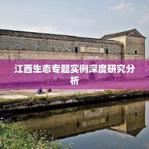 江西生态专题实例深度研究分析