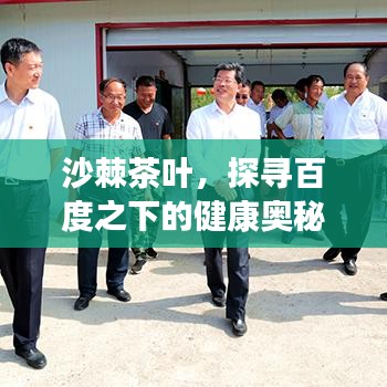 沙棘茶叶，探寻百度之下的健康奥秘