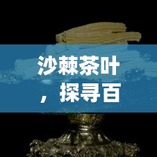 沙棘茶叶,探寻百度之下的健康奥秘
