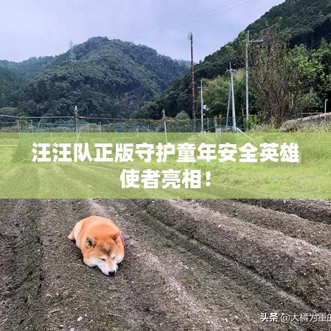 汪汪队正版守护童年安全英雄使者亮相!