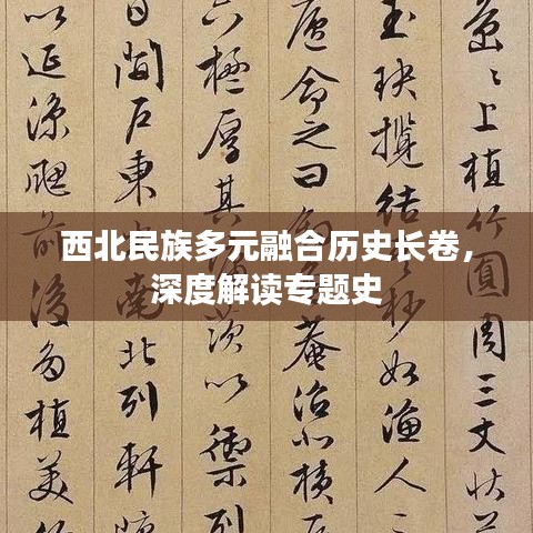 西北民族多元融合历史长卷,深度解读专题史
