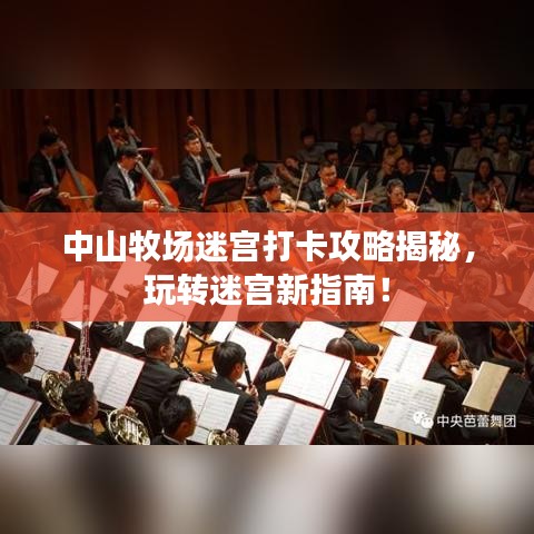 中山牧场迷宫打卡攻略揭秘，玩转迷宫新指南！