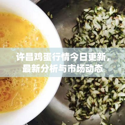 许昌鸡蛋行情今日更新,最新分析与市场动态