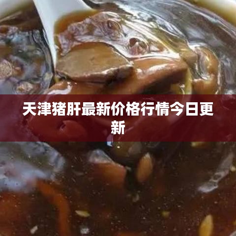 天津猪肝最新价格行情今日更新