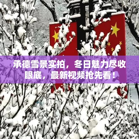 承德雪景实拍,冬日魅力尽收眼底,最新视频抢先看!