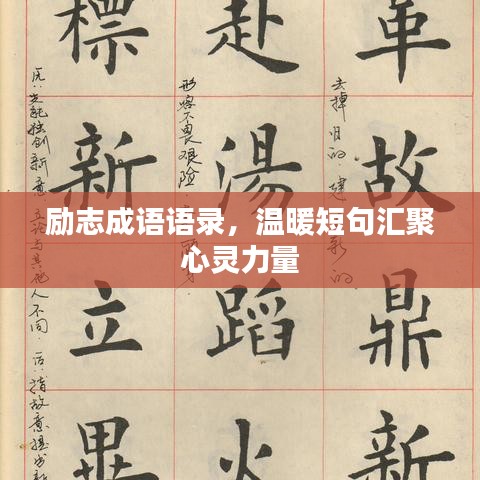 励志成语语录,温暖短句汇聚心灵力量