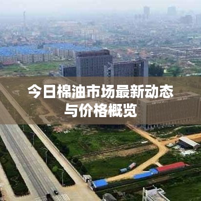 今日棉油市场最新动态与价格概览