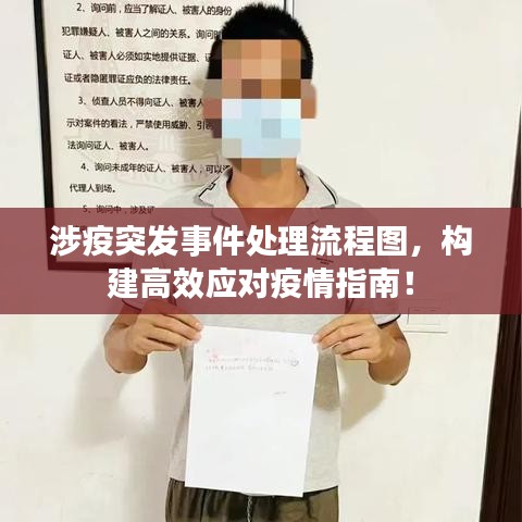 涉疫突发事件处理流程图,构建高效应对疫情指南!