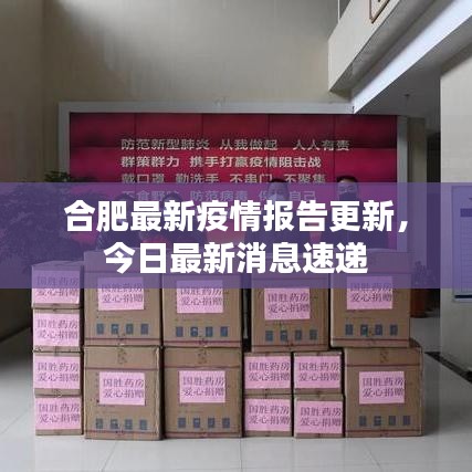 合肥最新疫情报告更新，今日最新消息速递