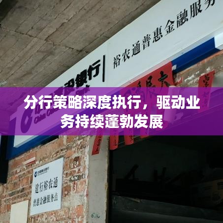 分行策略深度执行,驱动业务持续蓬勃发展