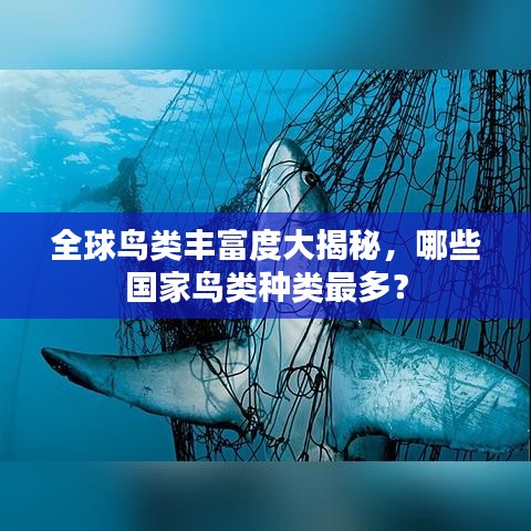 全球鸟类丰富度大揭秘，哪些国家鸟类种类最多？