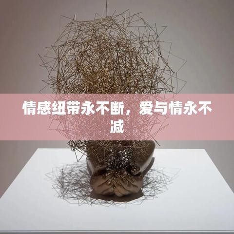 情感纽带永不断，爱与情永不减
