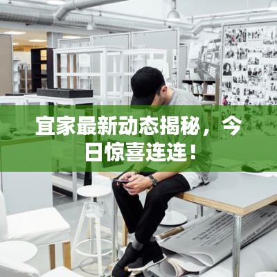 宜家最新动态揭秘，今日惊喜连连！