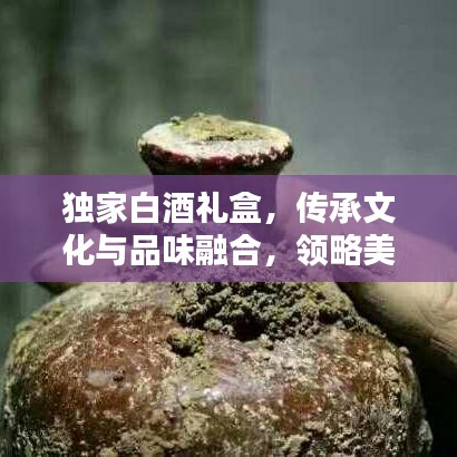 独家白酒礼盒，传承文化与品味融合，领略美酒之韵