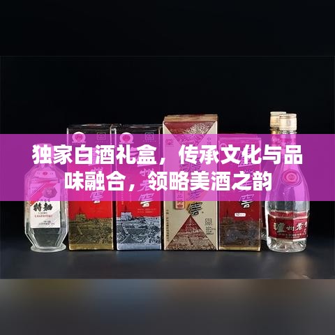 独家白酒礼盒,传承文化与品味融合,领略美酒之韵