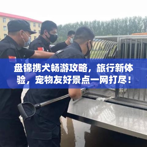 不知就里 第7页