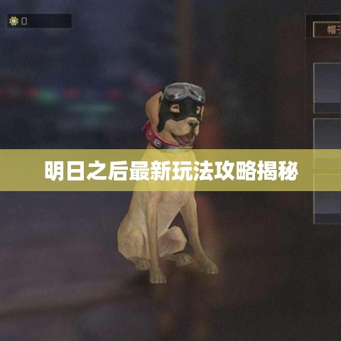 明日之后最新玩法攻略揭秘