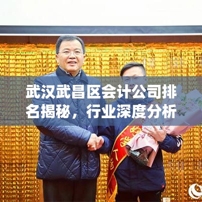 武汉武昌区会计公司排名揭秘，行业深度分析与解读
