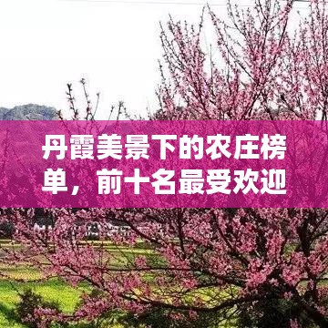 丹霞美景下的农庄榜单,前十名最受欢迎的农庄推荐!