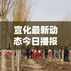 宣化最新动态今日播报