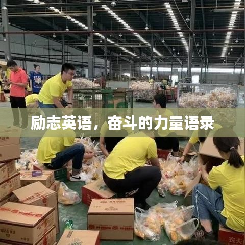 鸷鸟不群 第5页