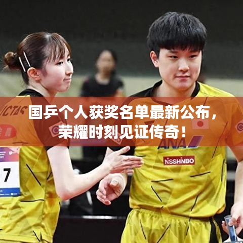 国乒个人获奖名单最新公布,荣耀时刻见证传奇!