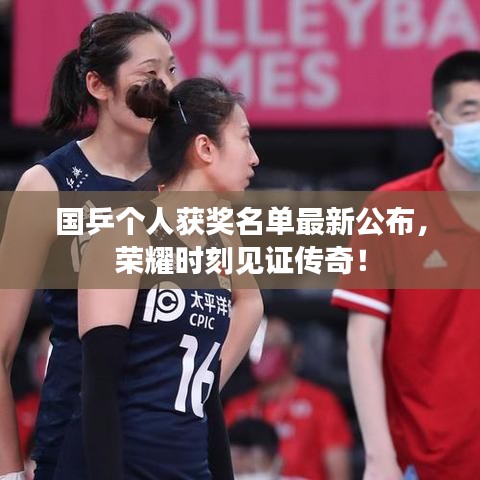 国乒个人获奖名单最新公布,荣耀时刻见证传奇!