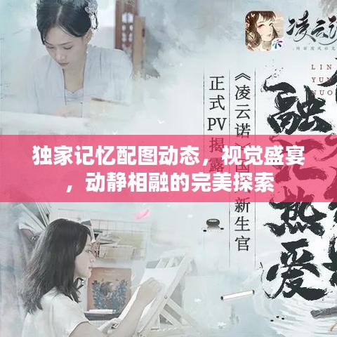 独家记忆配图动态，视觉盛宴，动静相融的完美探索